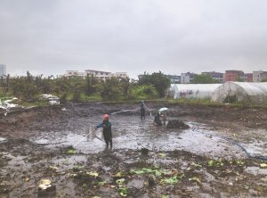 铜仁河道鱼塘清淤